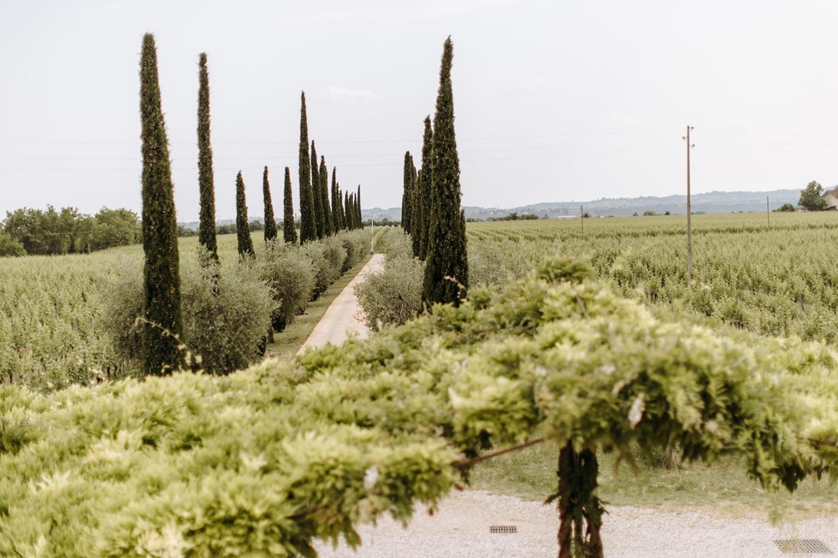 Villa Dimora Buglioni Wine Relais San Pietro in Cariano Exterior foto